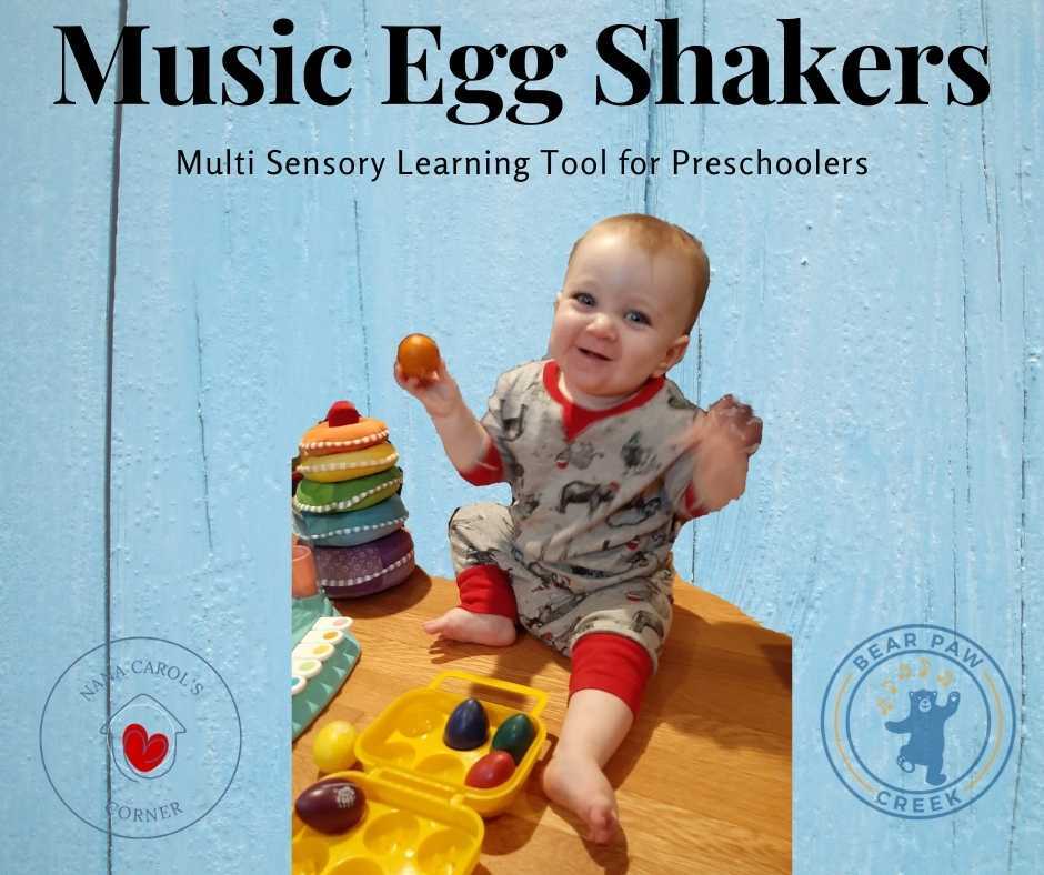 Music Egg Shakers Multi Sensory Learning Tool for Preschoolers Laurie Berkner Band I Know A Chicken