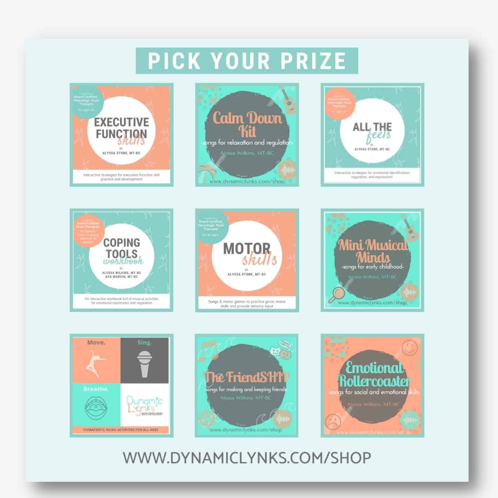 Dynamic Lynks Pick Your Prize Music Therapy Bundle